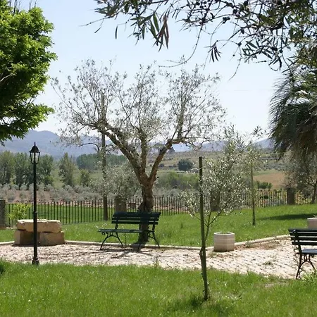 Quinta Sta Luzia Carrascal Holiday home *